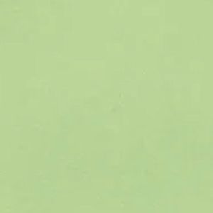 Meet your Posher, Rosana